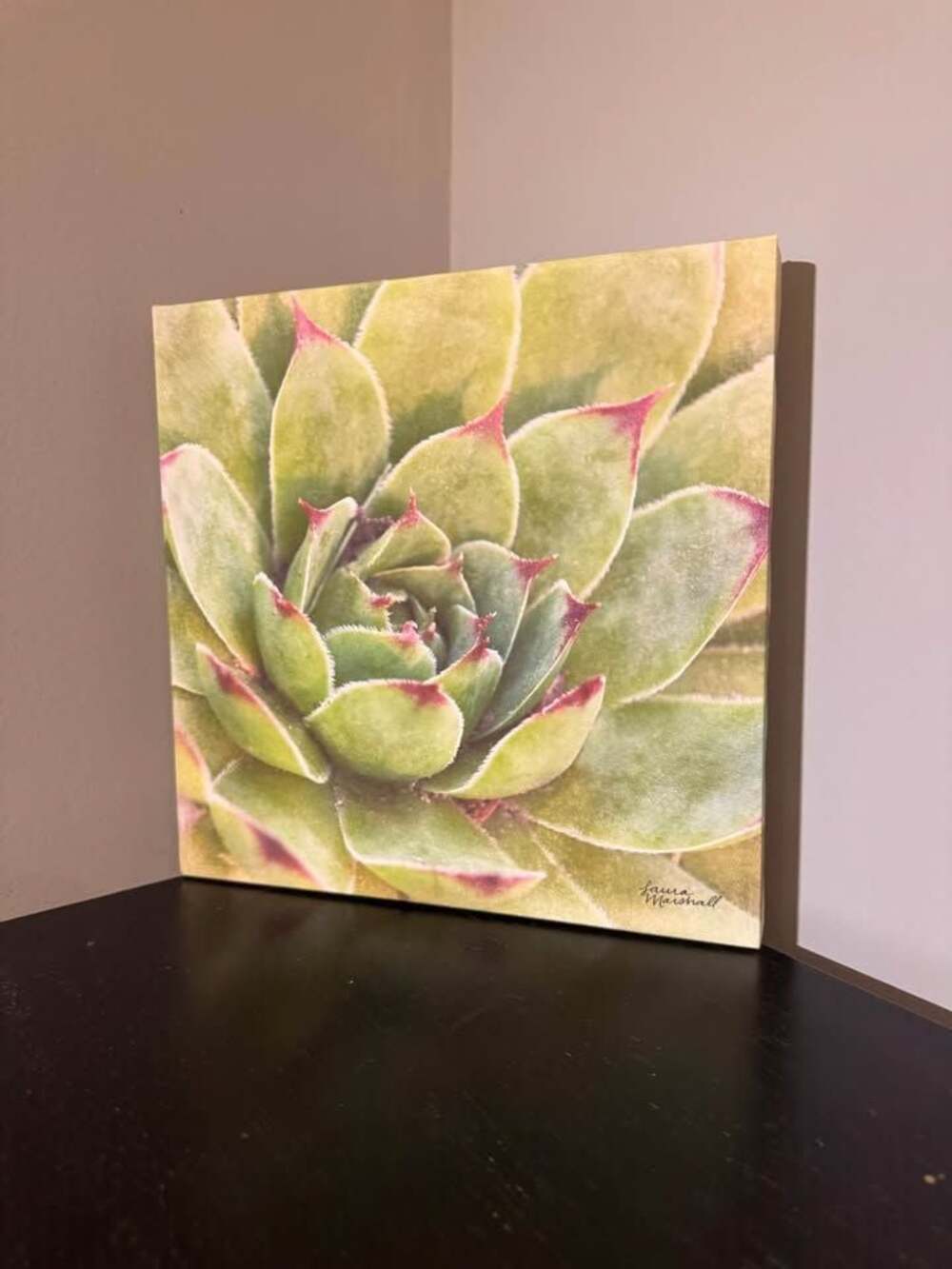 Laura Marshall Succulent Canvas Wall Art 10” Square Green with Pink Accents